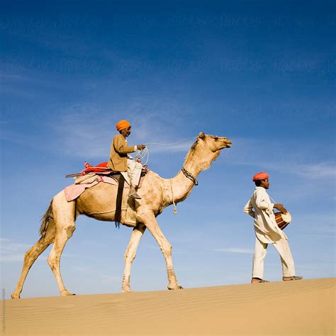 blue camel indian west camel